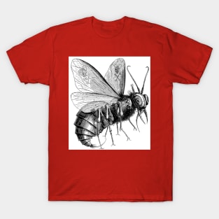 Beelzebub T-Shirt
